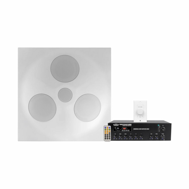 Pure Resonance Audio HWSS-SD5MA120BTVC100W Multipurpose Area System, 1 SD5